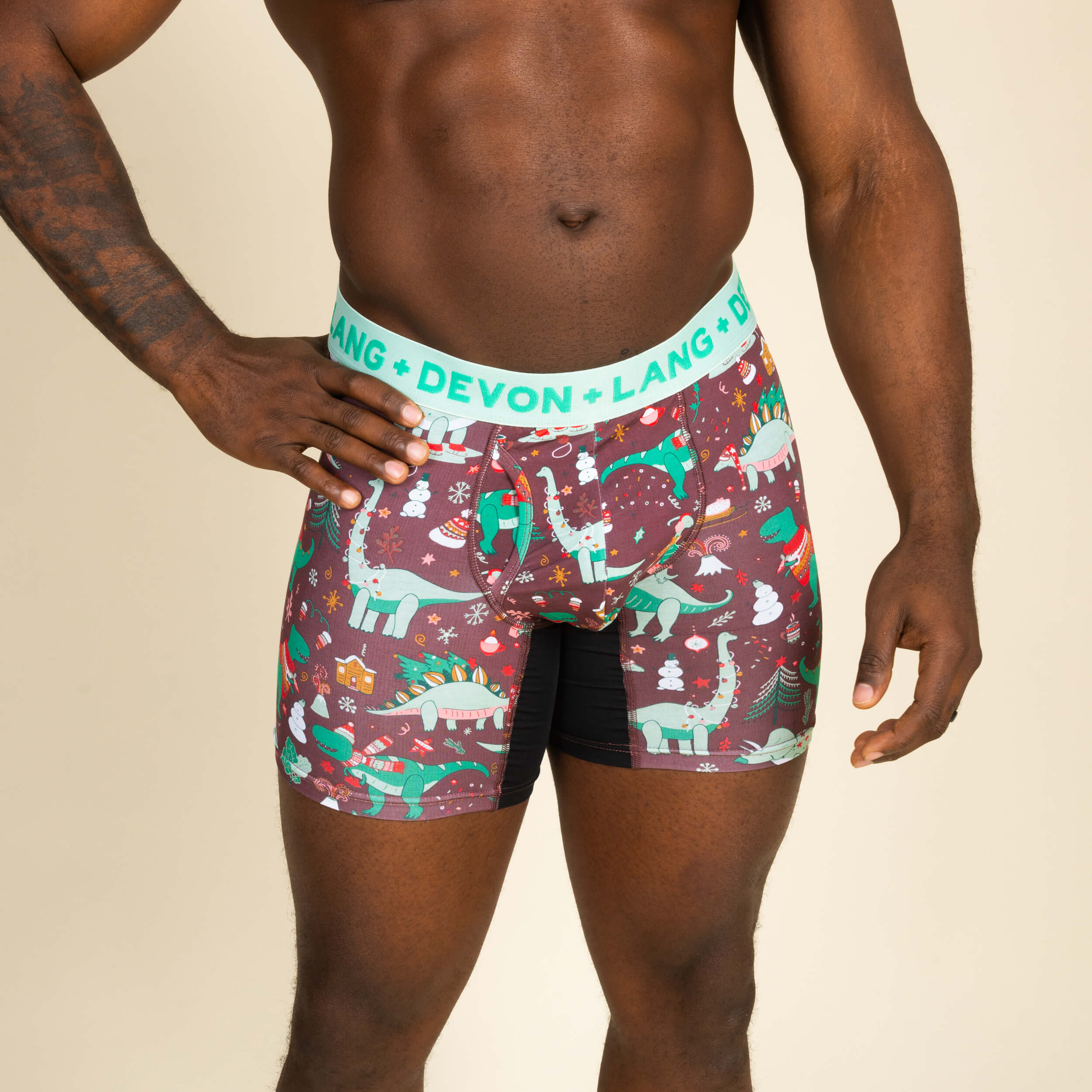 Originals Journey Boxer Brief - Chilly Dinos - Image 3