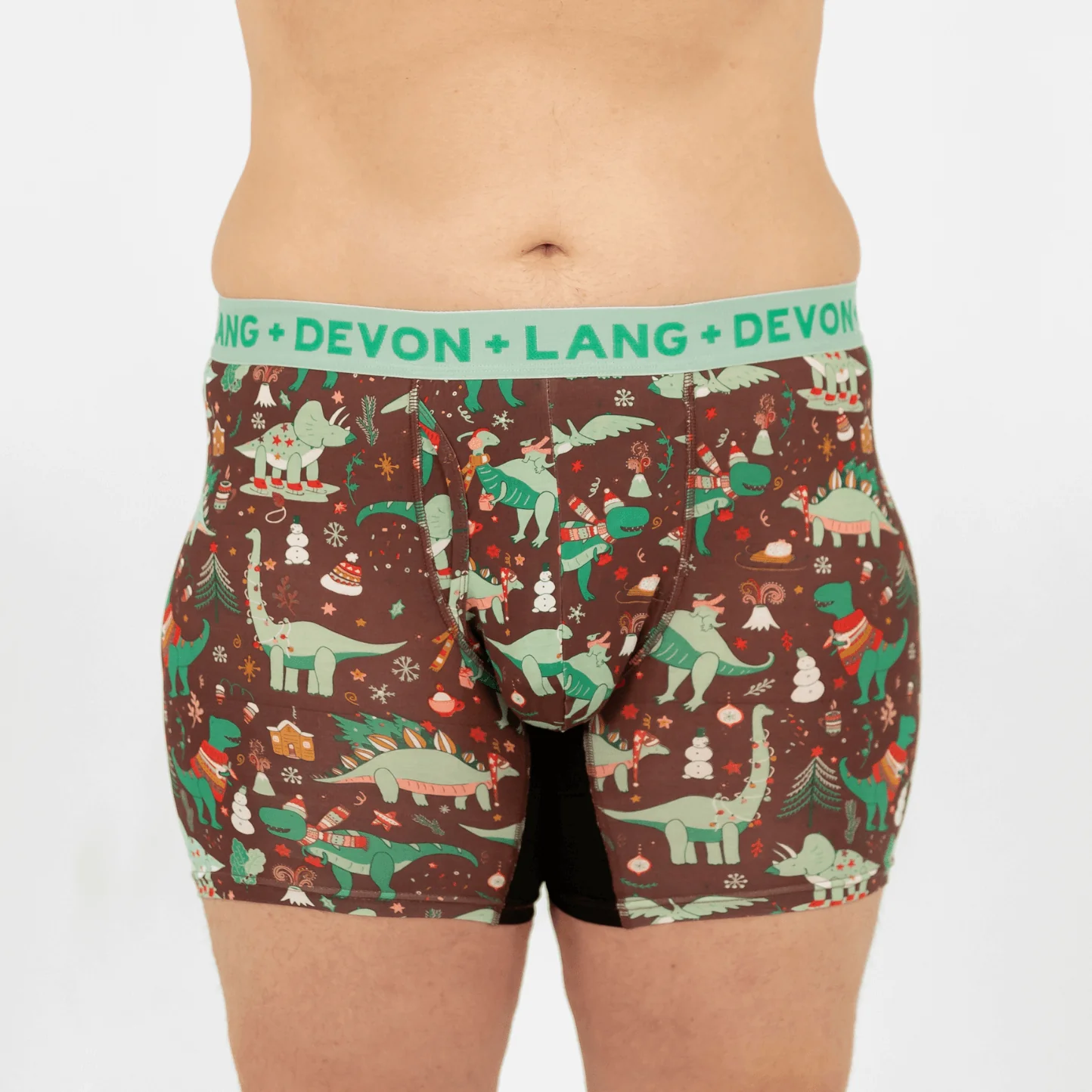 Originals Journey Boxer Brief - Chilly Dinos - Image 6